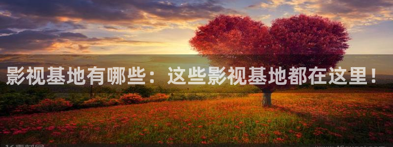 神马库电影