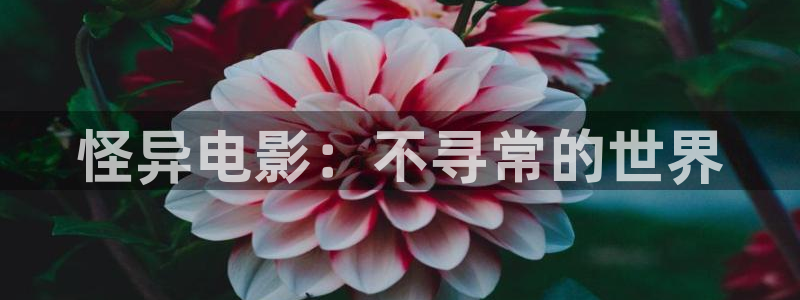 神马影院8888t