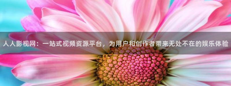 神马电影中字交换
