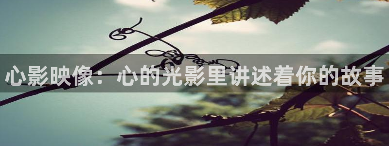 未来影院 神马电影