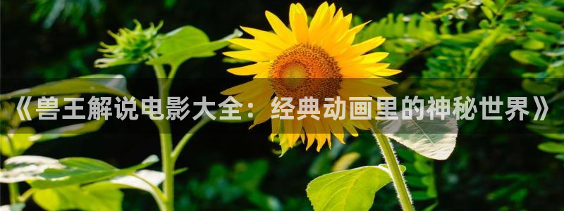 韩国理论神马电影
