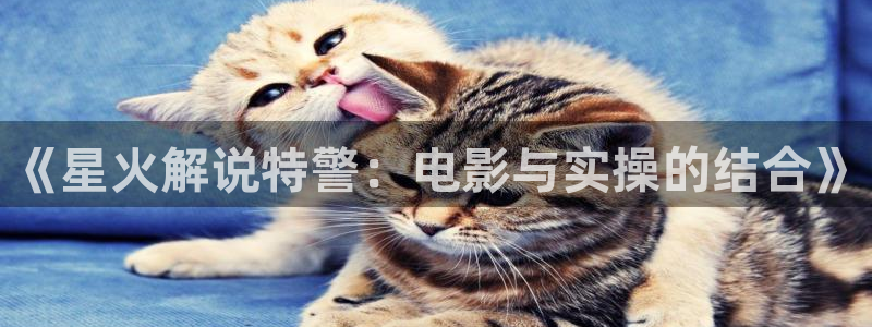 午夜伦理神马影院
