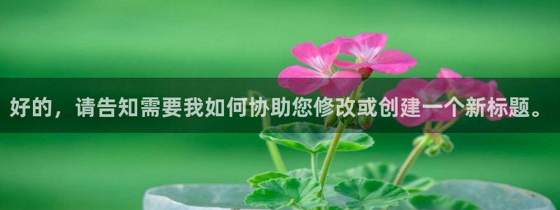 神马私人午夜影院