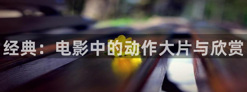 神马影院亚洲夫妻在线观看