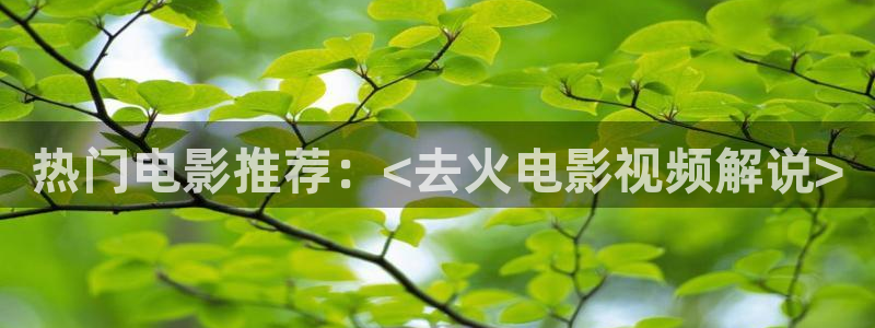 琪琪神马电影院