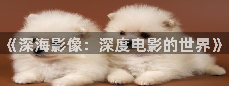 神马影院我不卡国产传媒：《深海影像：深度电影的世界》