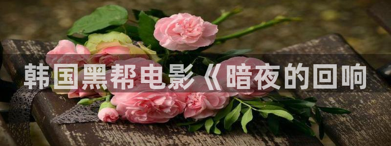 神马网不卡影院
