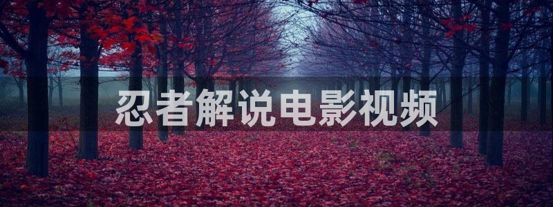 神马手机电影影院：忍者解说电影视频