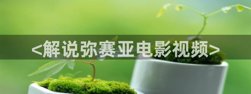 手机看片神马午夜影院：<解说弥赛亚电影视频>