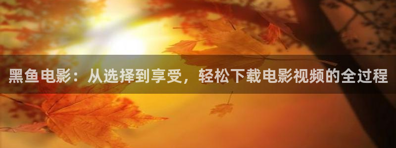 神马电影天堂在线观看我的姐姐：黑鱼电影：从选择到享受，轻松下载电影视频的全过程