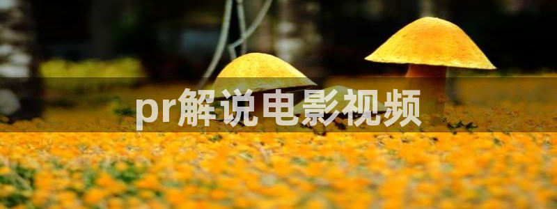 神马电影午夜伦理：pr解说电影视频