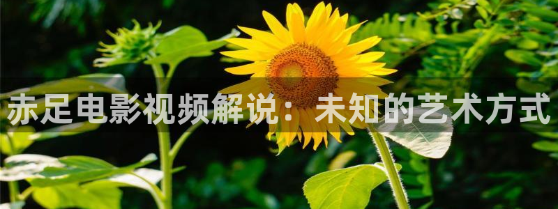 神马电影在线观看完整版