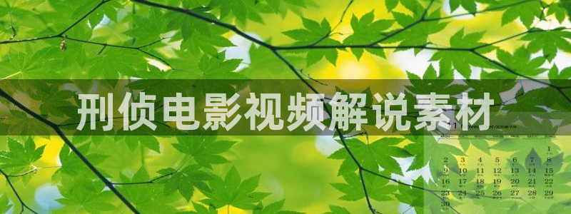 神马飘花秋霞