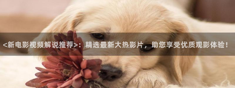 神马影院老子不卡手机版