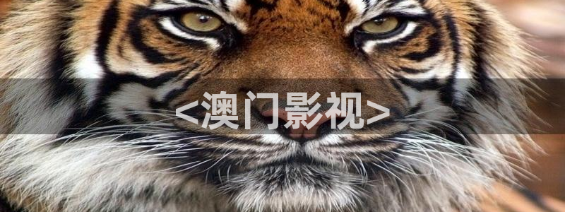 神马99伦理影院