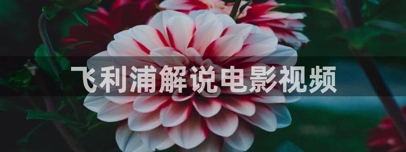 神马影院在线观看福利：飞利浦解说电影视频