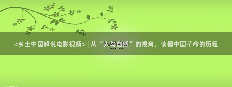 禁止的爱 神马影院