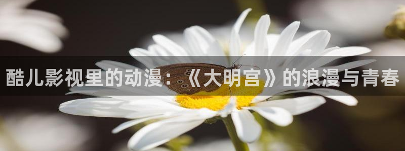 神马电影网光棍影院
