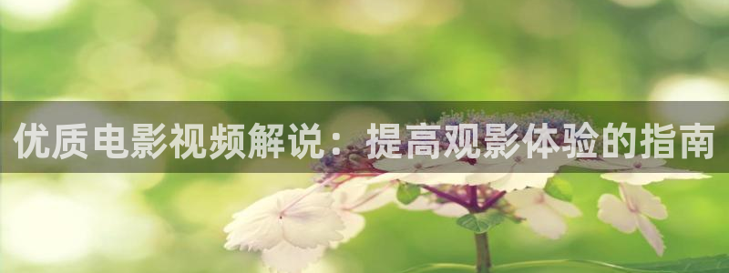 神马手机不卡视频：优质电影视频解说：提高观影体验的指南