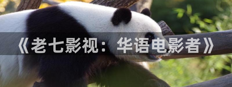 神马影院午夜激情：《老七影视：华语电影者》