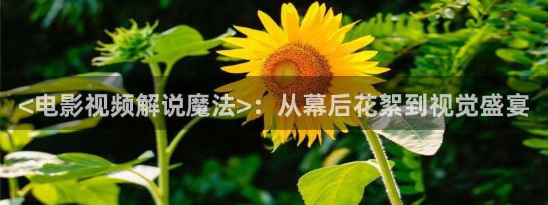 神马伦理日本：<电影视频解说魔法>：从幕后花絮到视觉盛宴