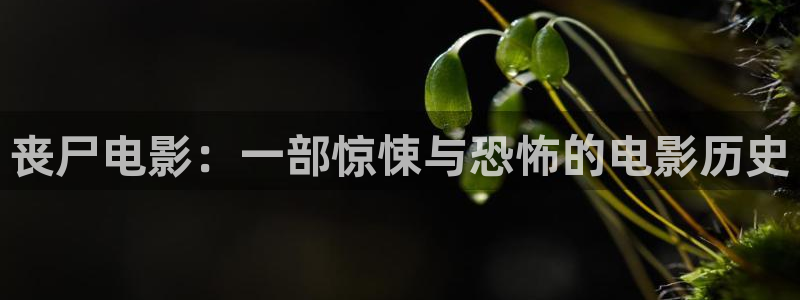 神马影院1024：丧尸电影：一部惊悚与恐怖的电影历史