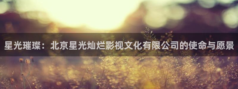 神马影院在线观看2：星光璀璨：北京星光灿烂影视文化有限公司的使命与愿景
