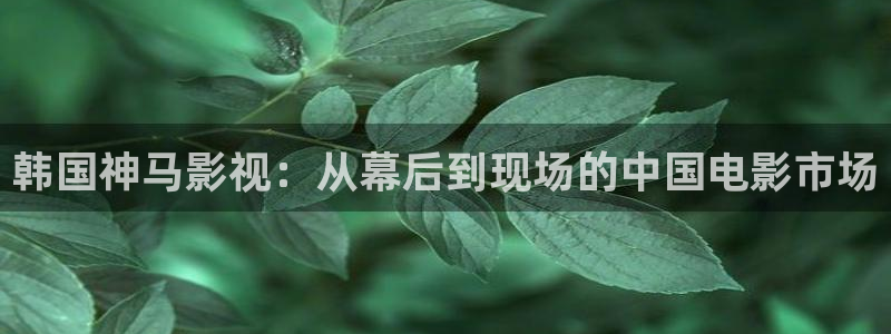神马的电影：韩国神马影视：从幕后到现场的中国电影市场