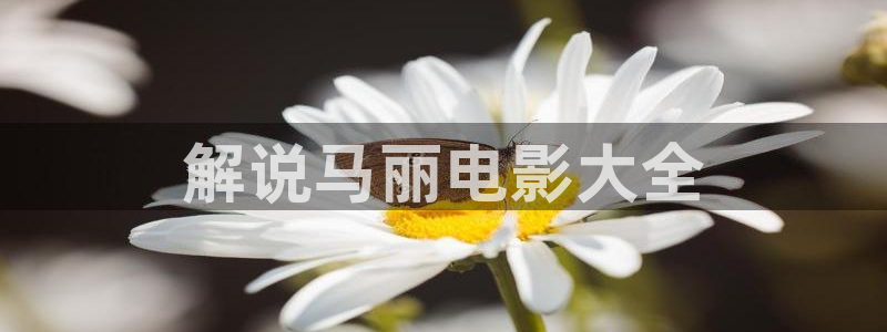 神马电影院网院：解说马丽电影大全
