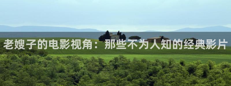 免费神马好看的电影：老嫂子的电影视角：那些不为人知的经典影片