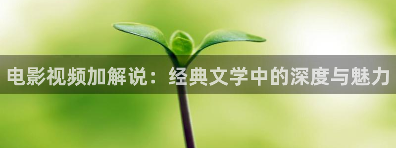 神马影视特片网：电影视频加解说：经典文学中的深度与魅力
