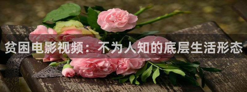 一路向西神马电影：贫困电影视频：不为人知的底层生活形态