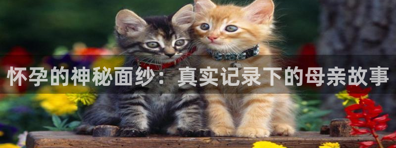 无套内射神马影院未删减版：怀孕的神秘面纱：真实记录下的母亲故事