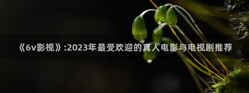 神马电影午夜乐趣：《6v影视》:2023年最受欢迎的真人电影与电视剧推荐