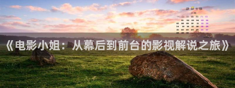 午夜神马在线电影：《电影小姐：从幕后到前台的影视解说之旅》