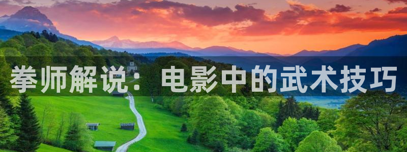 妈妈的朋友神马影院：拳师解说：电影中的武术技巧