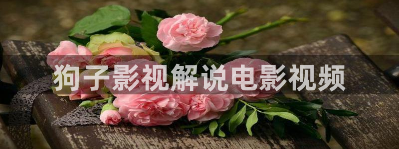 神马飘飘电影：狗子影视解说电影视频