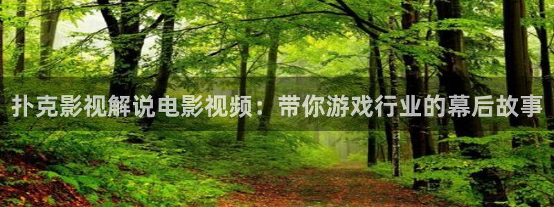 神马影院福利在线：扑克影视解说电影视频：带你游戏行业的幕后故事