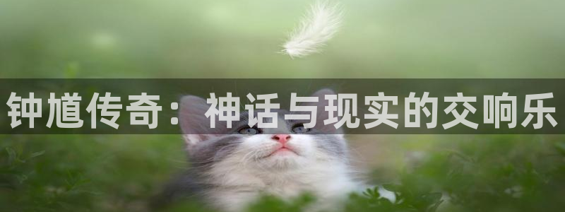 神马伦理视频：钟馗传奇：神话与现实的交响乐