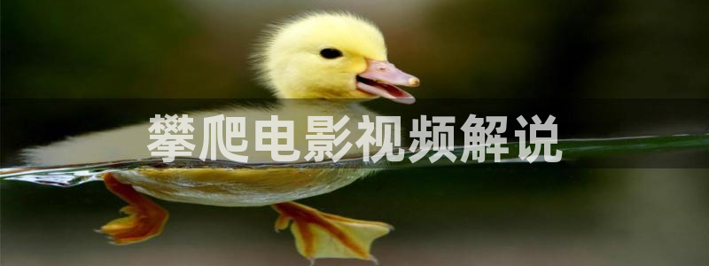 神马电影光棍影院：攀爬电影视频解说