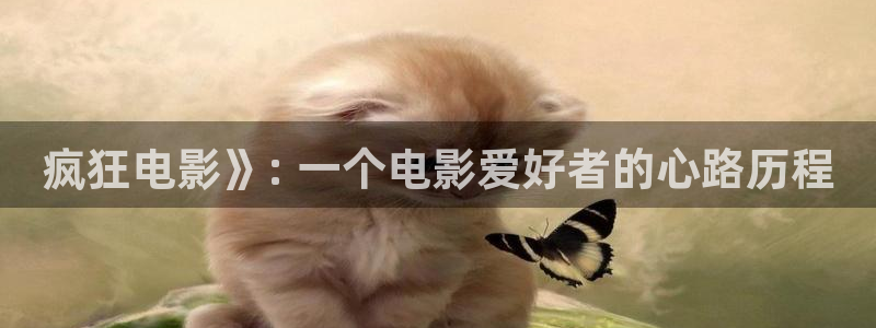 飘雪在线观看神马：疯狂电影》: 一个电影爱好者的心路历程