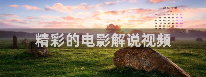 2499神马电影：精彩的电影解说视频