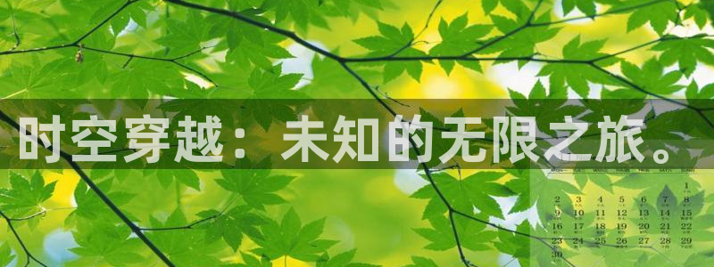 神马高清影院在线：时空穿越：未知的无限之旅。