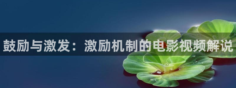 八哥神马影院：鼓励与激发：激励机制的电影视频解说