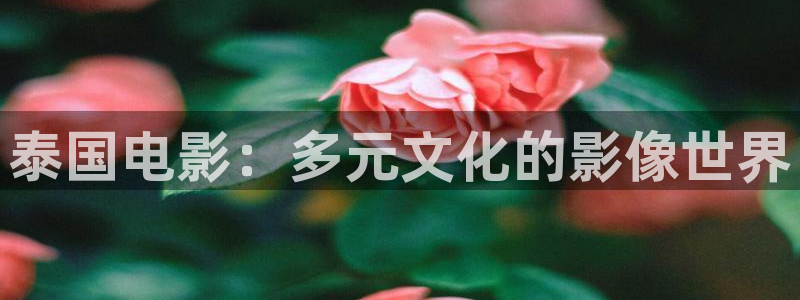 神马电影免费在线视频：泰国电影：多元文化的影像世界