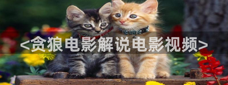 原来的神马影院免费观看：<贪狼电影解说电影视频>