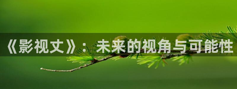 神马电影97视频：《影视丈》：未来的视角与可能性