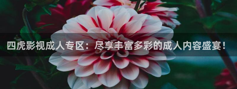 神马不卡电影在线观看：四虎影视成人专区：尽享丰富多彩的成人内容盛宴！