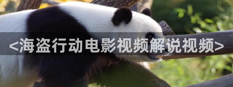 大地神马影院：<海盗行动电影视频解说视频>