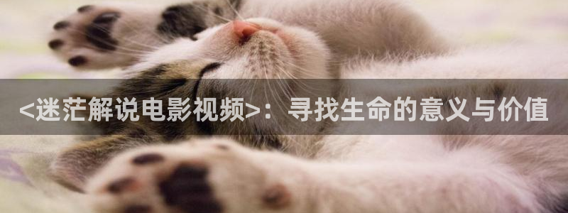 神马影院伦理h电影：<迷茫解说电影视频>：寻找生命的意义与价值
